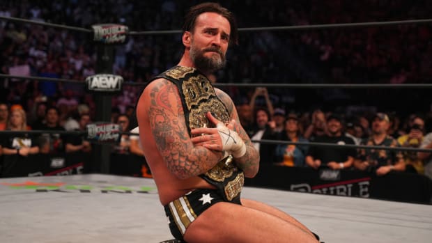 Wrestler CM Punk